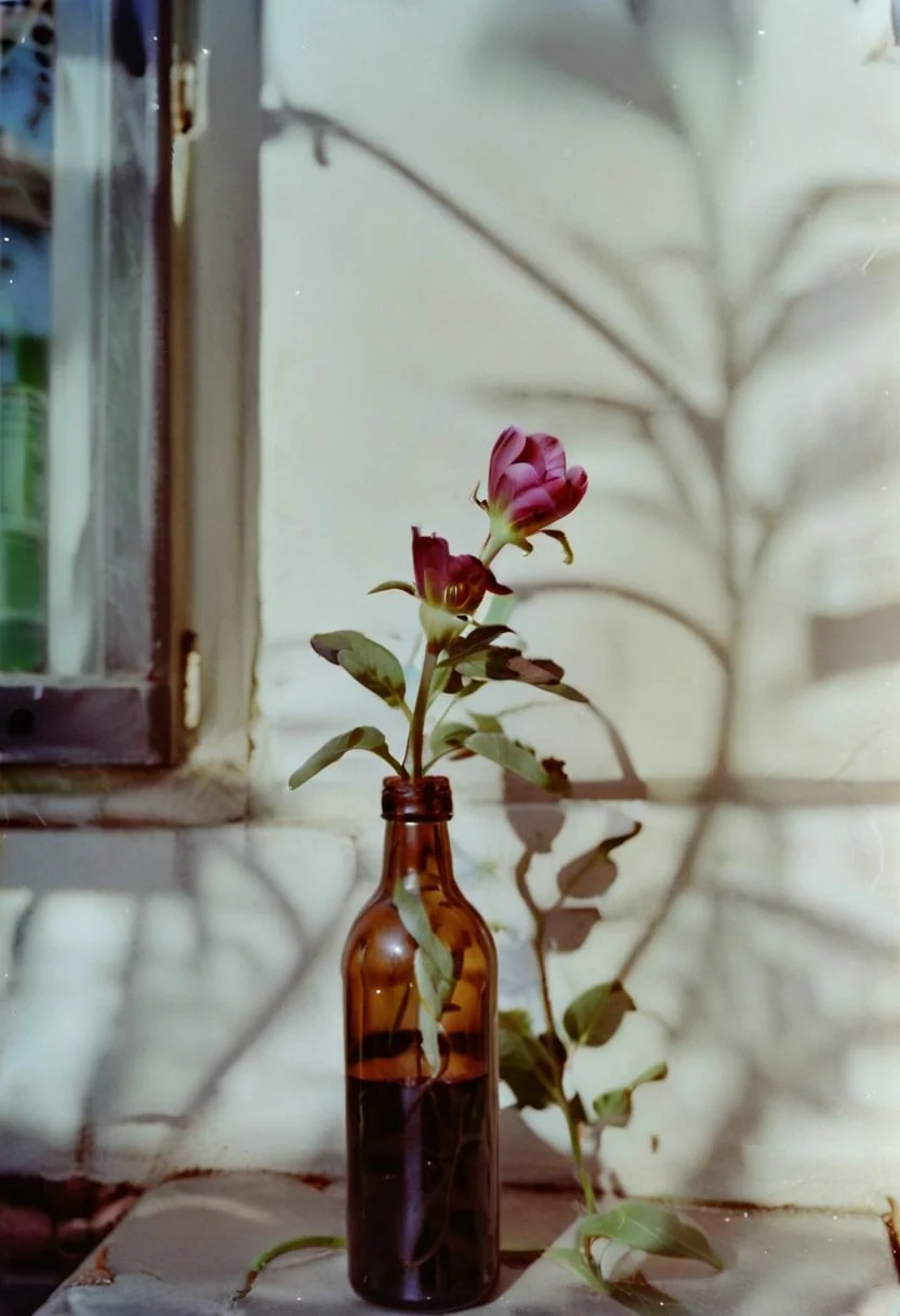 c41_hasselblad_portra400, instagram photo,a bottle with a flower, hard shadows, film grain