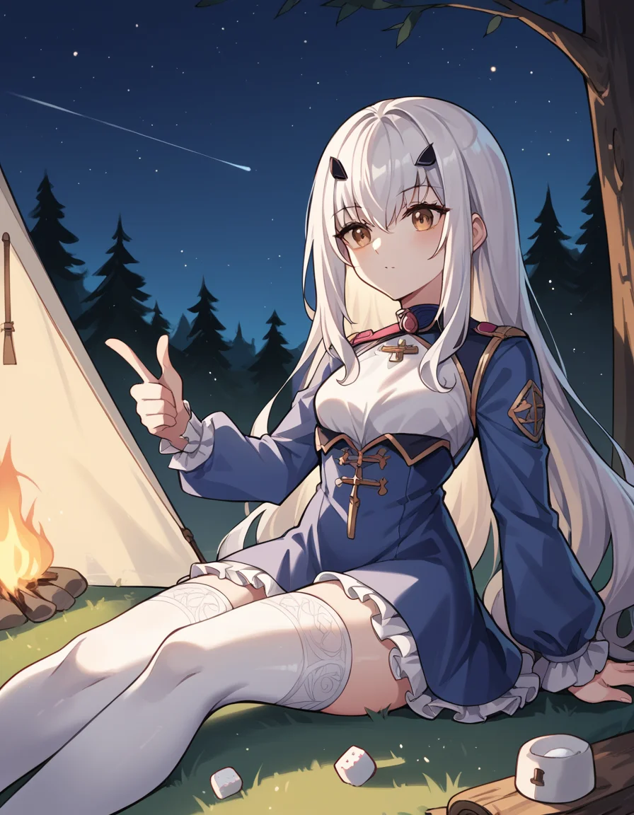 score_9, score_8_up, score_7_up, source_anime, <lora:fgo-melusine-ponyxl-lora-nochekaiser:1>, melusine, brown eyes, long hair, white hair, sidelocks,, blue dress, dress, frills, long sleeves, thighhighs, thighs, white thighhighs,, camping, bonfire, tent, stargazing, marshmallows, forest clearing, night, , , hand showing a thumbs down, solo,, cowboy shot, dutch angle