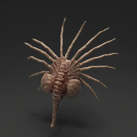 fchgr
<lora:Xenomorph_Facehugger_v2.0_SDXL:1>