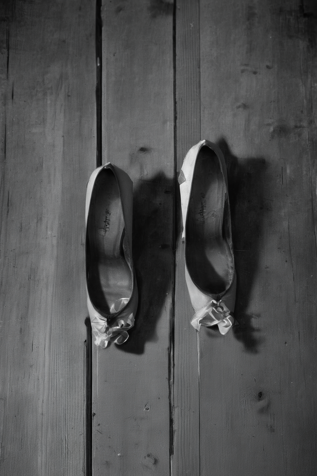<lora:Photographer Elena Helfrecht Style:1>Photographer Elena Helfrecht Style - a black and white photo of a pair of shoes on a wooden step