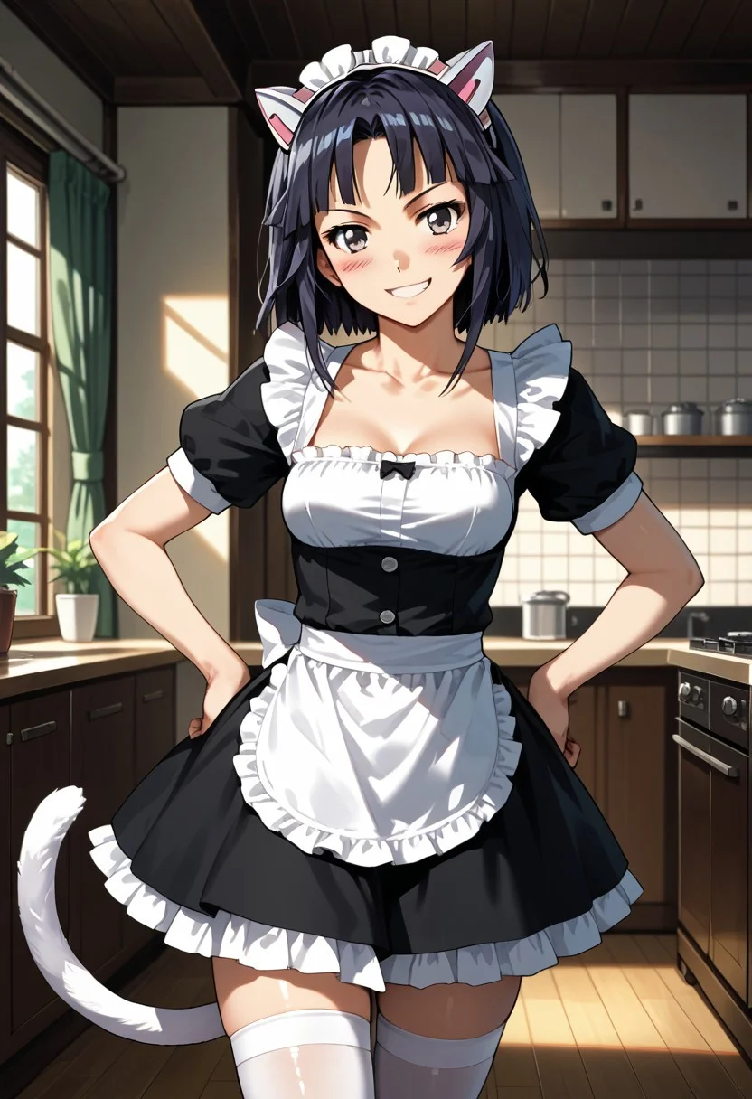 score_9,score_8_up,score_7_up,source_anime, tsugumi (guilty crown),1girl,solo,looking at viewer,blush,smile,thighhighs,collarbone,tail,indoors,apron,white thighhighs,zettai ryouiki,cat tail,maid,hands on hips,gokou ruri, fake cat ears,