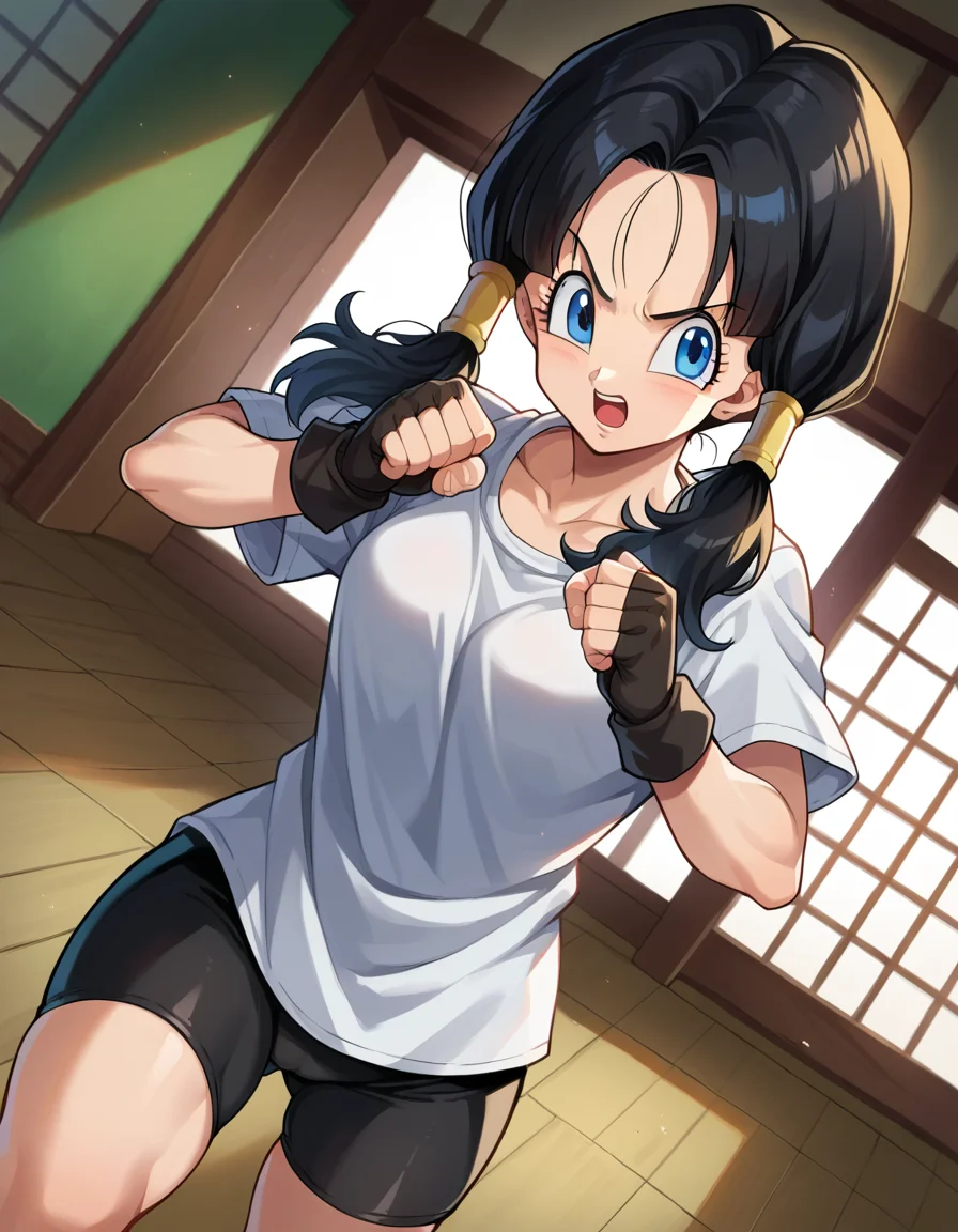 score_9, score_8_up, score_7_up, source_anime,
videl, <lora:dragonball-videl-ponyxl-lora-nochekaiser:1>,
videl, black hair, blue eyes, eyelashes, parted bangs, twintails,
bike shorts, black gloves, black legwear, collarbone, fingerless gloves, gloves, shirt, short sleeves, white shirt,
indoors, dojo,
looking at viewer, cowboy shot, dutch angle, fighting stance, open mouth,
