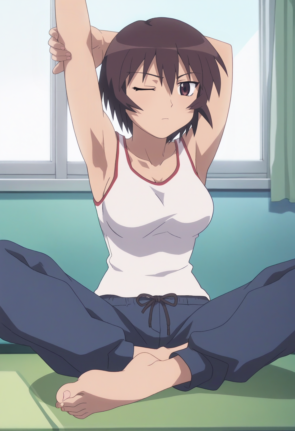 score_9, score_8_up, score_7_up, score_6_up, anime screencap, anime coloring, <lora:AMKagura:0.8>, AMKagura, 1girl, solo, short hair, brown hair, hair between eyes, brown eyes, breasts,
tank top, capri pants, blue pants, barefoot, 
sitting, stretching, one eye closed, arms up, 
BREAK indoors, window,