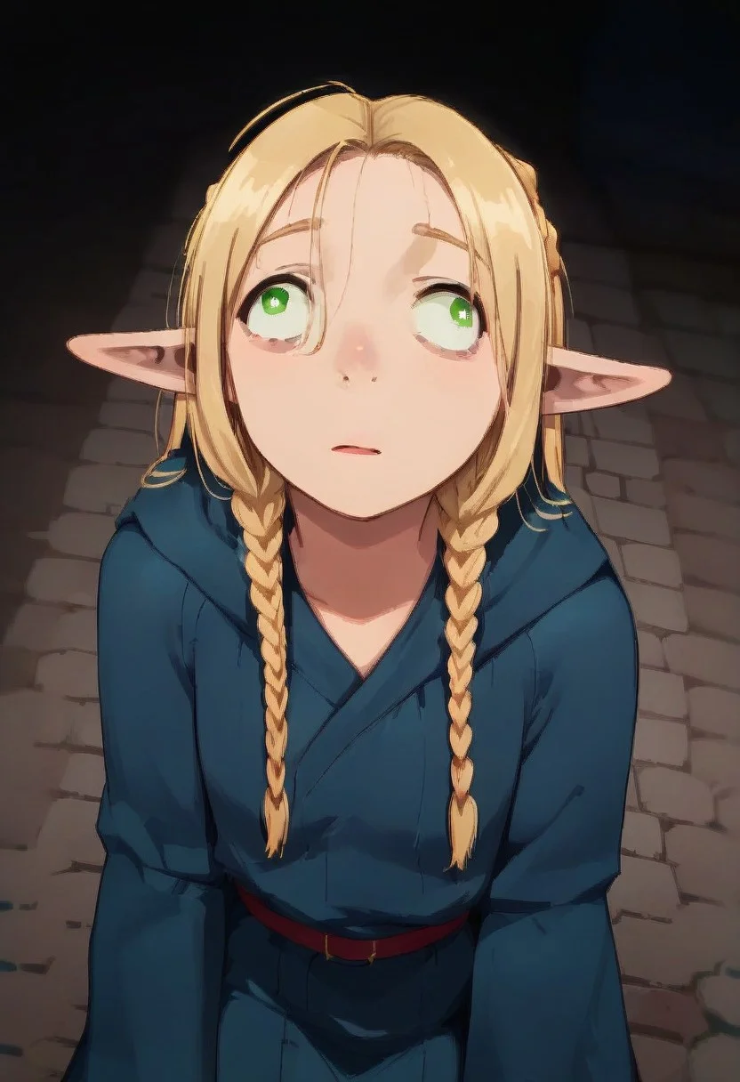 Expressiveh, score_9, score_8_up, score_7_up, score_6_up, score_5_up, score_4_up, godrays, 1girl, from above, Marcilledonato, blonde hair, green eyes, white pupils,Twin braids, wa11_3y3s, wall-eyed, elf, blue robe, sitting