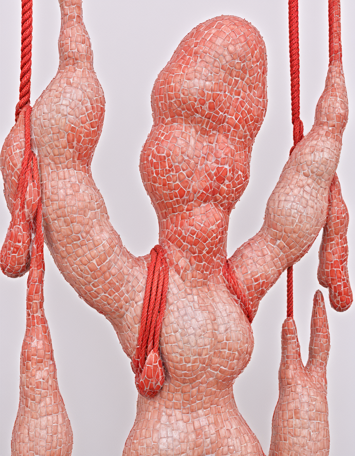 colored skin, nude, red rope, grey background, wet,Keresztes,,