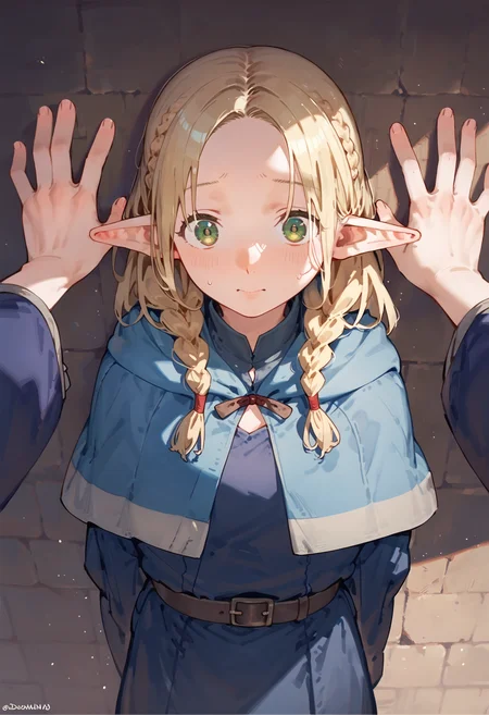 score_9, score_8_up, score_7_up, 2girls, kabedon pov, marcille, blue capelet blue robe belt, french braid twin braids, arms behind back, [:falin:0.3], wide sleeves, blue jacket, shirt, robe
<lora:falin_marcille_pony_d16:1>
<lora:kabedon_pony_2:1>