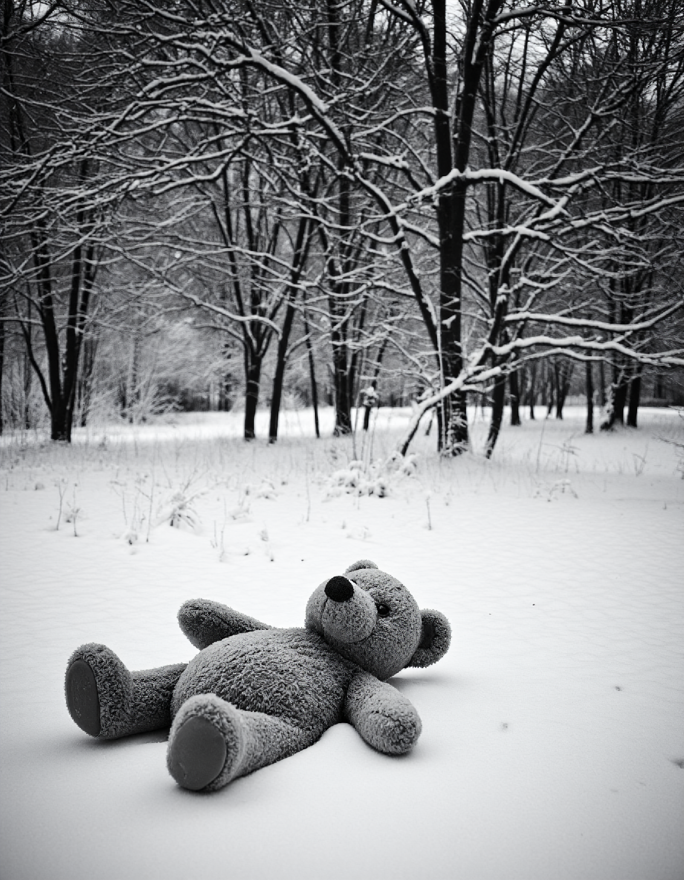 FUJIFILM ETERNA, analog film stocks, cinematic, achromatic grayscale photo of on old forgotten teddy bear laying in a park in snow