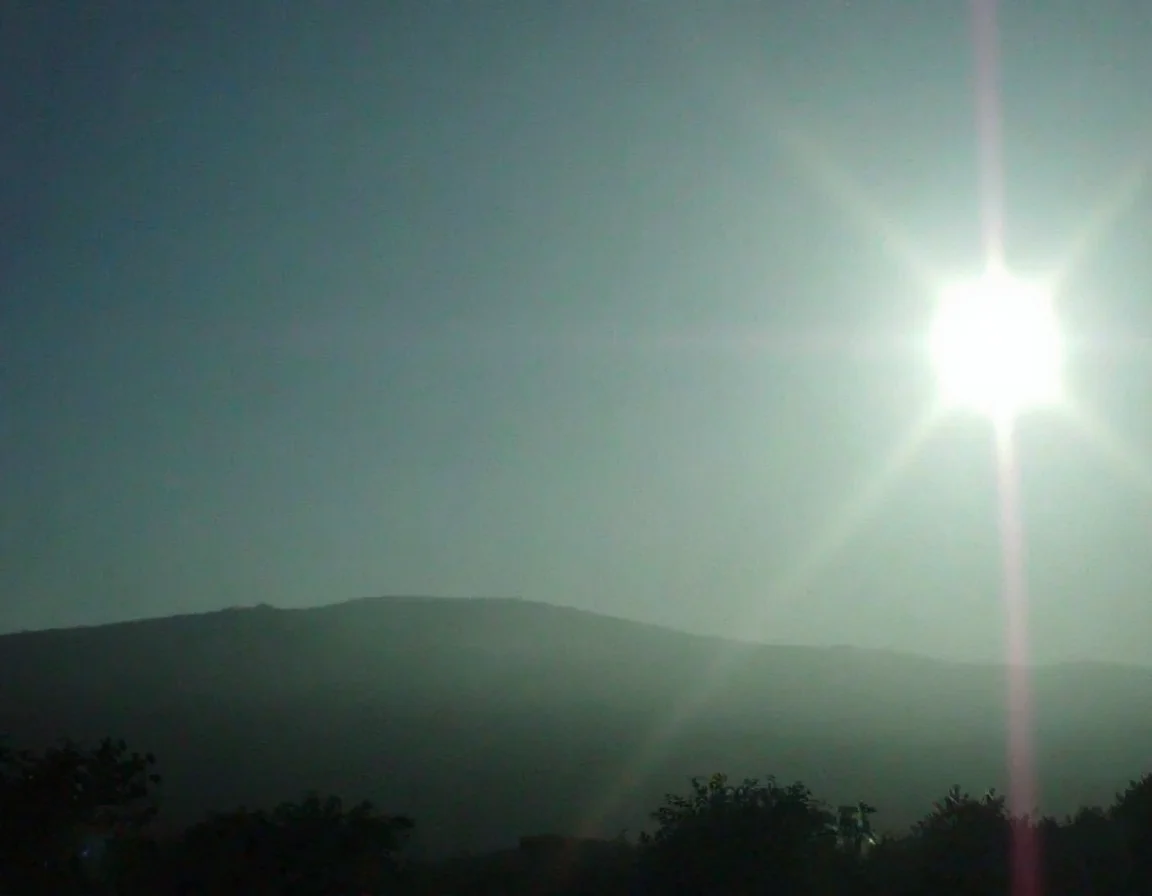 m8vic2, Hazy landscape, rolling hills in the background, silhouettes of sparse trees, bright sun on the right, intense sunlight creating lens flare, misty atmosphere, greenish blue color cast, outdoor natural setting, daytime, overexposed lighting, sun rays visible in sky.,
