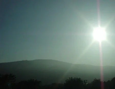 m8vic2, Hazy landscape, rolling hills in the background, silhouettes of sparse trees, bright sun on the right, intense sunlight creating lens flare, misty atmosphere, greenish blue color cast, outdoor natural setting, daytime, overexposed lighting, sun rays visible in sky., 