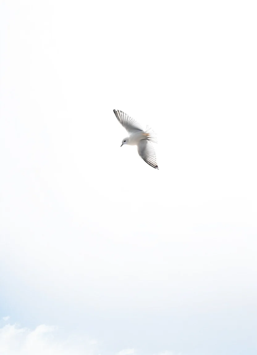 highkey, bird, white background, sky, wind,
<lora:Highkey-SDXL:0.8>