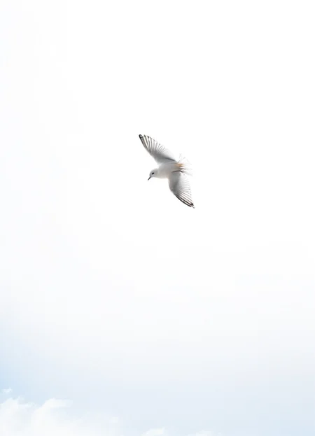 highkey, bird, white background, sky, wind,
<lora:Highkey-SDXL:0.8>