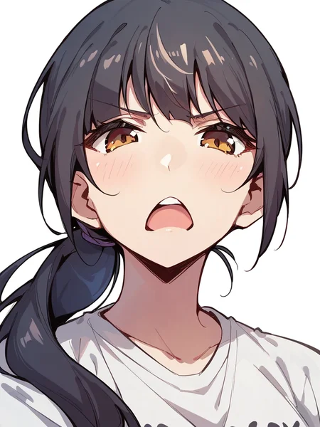 score_9, score_8_up, score_7_up,
1girl, brown eyes, black hair, ponytail, face, close-up, white background, t-shirt,
looking at viewer, frown, open mouth, narrowed eyes,
