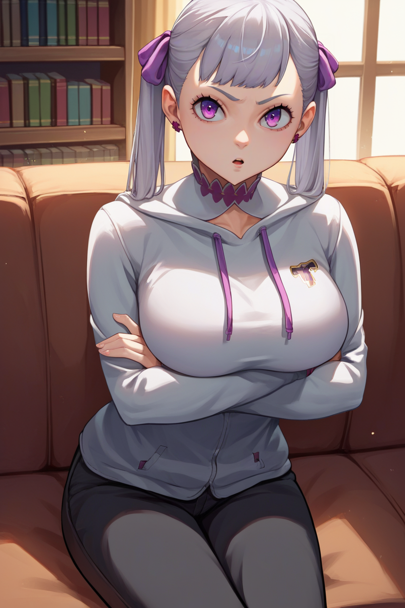 score_9, score_8_up, score_7_up, score_6_up, source_anime BREAK 1girl, solo <lora:noellesilva-pdxl-nvwls-v1-000005:1> noelle silva, grey hair, purple eyes, twintails, hair ribbon, grey hoodie, black pants, crossed arms, sitting, couch, big breasts, looking at you, chestnut mouth, bookshelf, living room