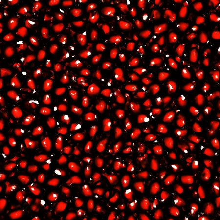 <lora:SDXL_only_red2_Sa_May_v3:1> red, pomegranate