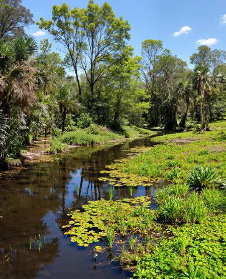 nature photo of a swamp land , <lora:amateurphoto-6version:1> <lora:detailer_flux_v1:1> detailerlora