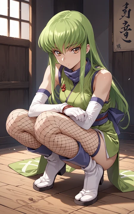 score_9,score_8_up,score_7_up,score_6_up,source_anime,1girl,c.c.,code geass,green hair,long hair,full body,pet colla,ninja,japanese clothes,fishnets,elbow gloves,squatting,tabi boots,<lora:tabi_pony-000015:0.4>,wooden floor,
