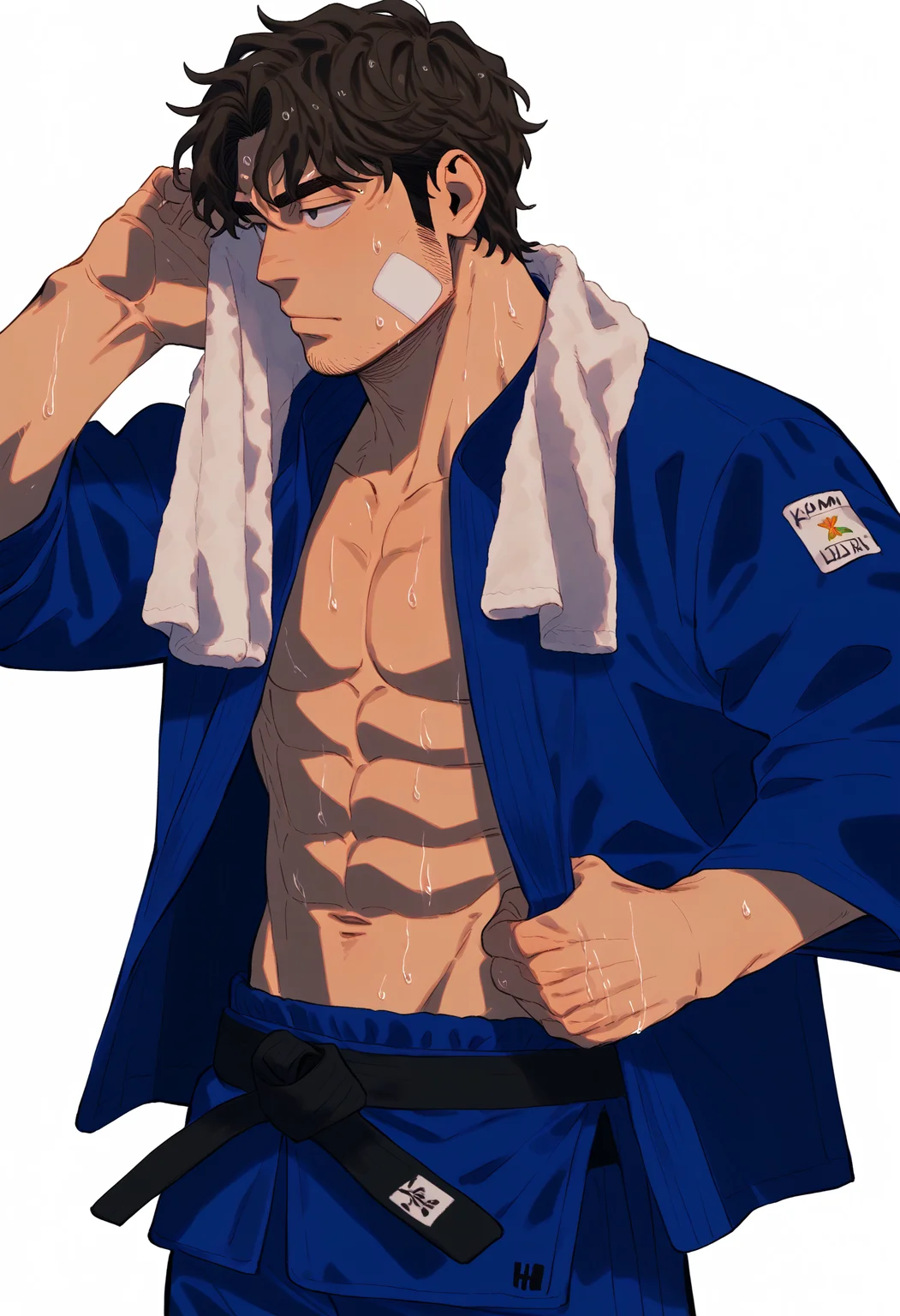 1boy, solo, h4ruk4m1, (bif, baf:1.1), (xhh:1.4), bara, muscular male, from side, cowboy shot,
judo, judo uniform, (blue clothes:1.2), belt, black belt, abs, navel, standing, towel around neck, bandaid on face,
dark brown hair, parted permed bangs, wavy hair, black eyes, sideburns, stubble, wet hair, very sweaty, sweatdrop,
simple white background,
best quality, amazing quality, best aesthetic, absurdres, sfw, year 2023,
<lora:judo:1> <lora:h4ruk4m1XLP:0.8> <lora:sn0w:0.8> <lora:incase-ilff-v3-4:0.4>