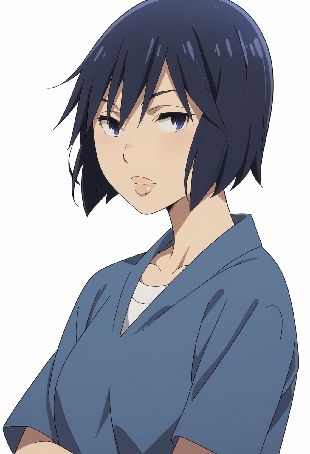 score_9, score_8_up, score_7_up, source_anime, BREAK white background, 1girl, solo,  <lora:DX888Sachiko:1> fujinuma sachiko, mature female ,bob cut,blue hair,