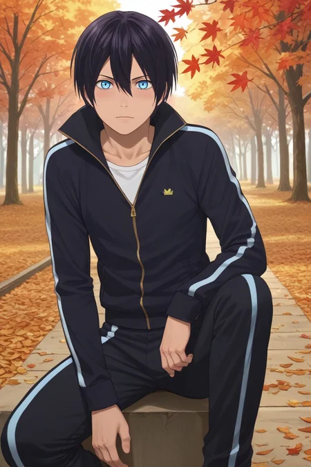 score_9, score_8_up, score_7_up, , rating_safe, intricate details, (photorealistic:0.6), , , 1boy, solo, male focus, <lora:yato_noragami_pony:0.86>, yato_noragami, black hair, blue eyes, short hair, hair between eyes, , full body, trees, autumn, leaves, midnight, one leg up, shy, blush, ,, <lora:sdxl_lightning_8step_lora:1>