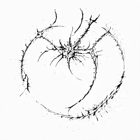masterpiece, best quality, cybersigilism, neotribal, photo of heptagram, white background, (heptapod language:1.5), language from film arrival, curves, ink circles