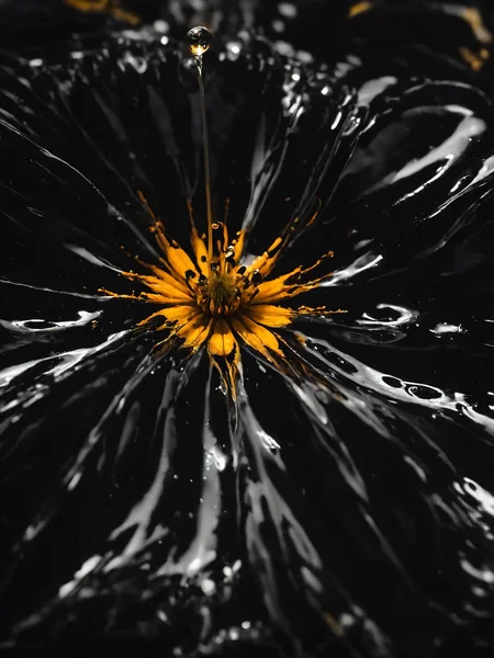 A macro photograph of a flower where the petals and stem are made of black goo, the droplets catching the light to reveal hidden colors within, shot with a macro lens on a Fujifilm GFX 100 <lora:Black_Goo:0.8> <lora:EnvyBetterHiresFixXL01:0:hr=1>