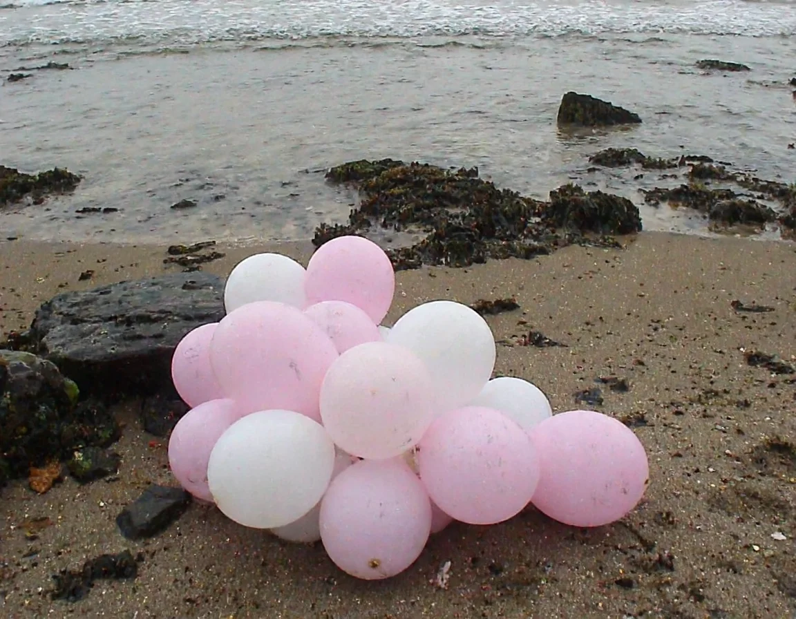 m8vic2, Cluster of pastel-colored balloons on sandy beach, pink and white hues, scattered rocks, dark wet stones, seaweed patches on sand, gentle waves in background, overcast sky, diffused natural lighting, early morning or late afternoon, outdoor coastal setting, slightly overexposed atmosphere.,