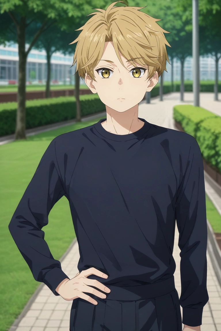score_9, score_8_up, score_7_up, , rating_safe, intricate details, (photorealistic:0.6), looking at viewer, depth of field, 1boy, solo, male focus, <lora:yuuma_nikaidou_pony:0.84>, yuuma_nikaidou, blonde hair, yellow eyes, short hair, focused, park, noon, hands on hips, expressionless, , <lora:sdxl_lightning_8step_lora:1>