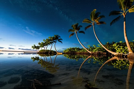 A professional scenic photography At a palm-fringed estuary in the Florida Keys where mangroves meet open gulf, At a clear night, (bay reflections:1.14) stars twinkle on water, palms and mangroves dark, light breeze cools sand. ,, Masterpiece,best quality,realistic,HDR, 8K, masterpiece, absurdres, highly aesthetic,realistic anatomy,focus on realism and natural details, fine details