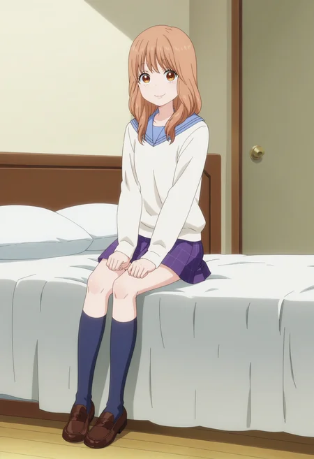 score_9, score_8_up, score_7_up, score_6_up, score_5_up, score_4_up , anime coloring ,BREAK source_anime, anime,screencap,
1girl, solo,rinkoy, school uniform, white sweater, purple skirt, blue sailor collar, blue socks, kneehighs, brown loafers, <lora:PonyXL Rinko Yamato V1:1>
indoors,bedroom, sitting on bed,
smile, looking at viewer,