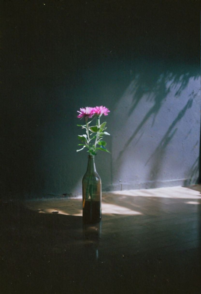 FP100C, instagram photo,a bottle with a flower,  hard shadows, film grain