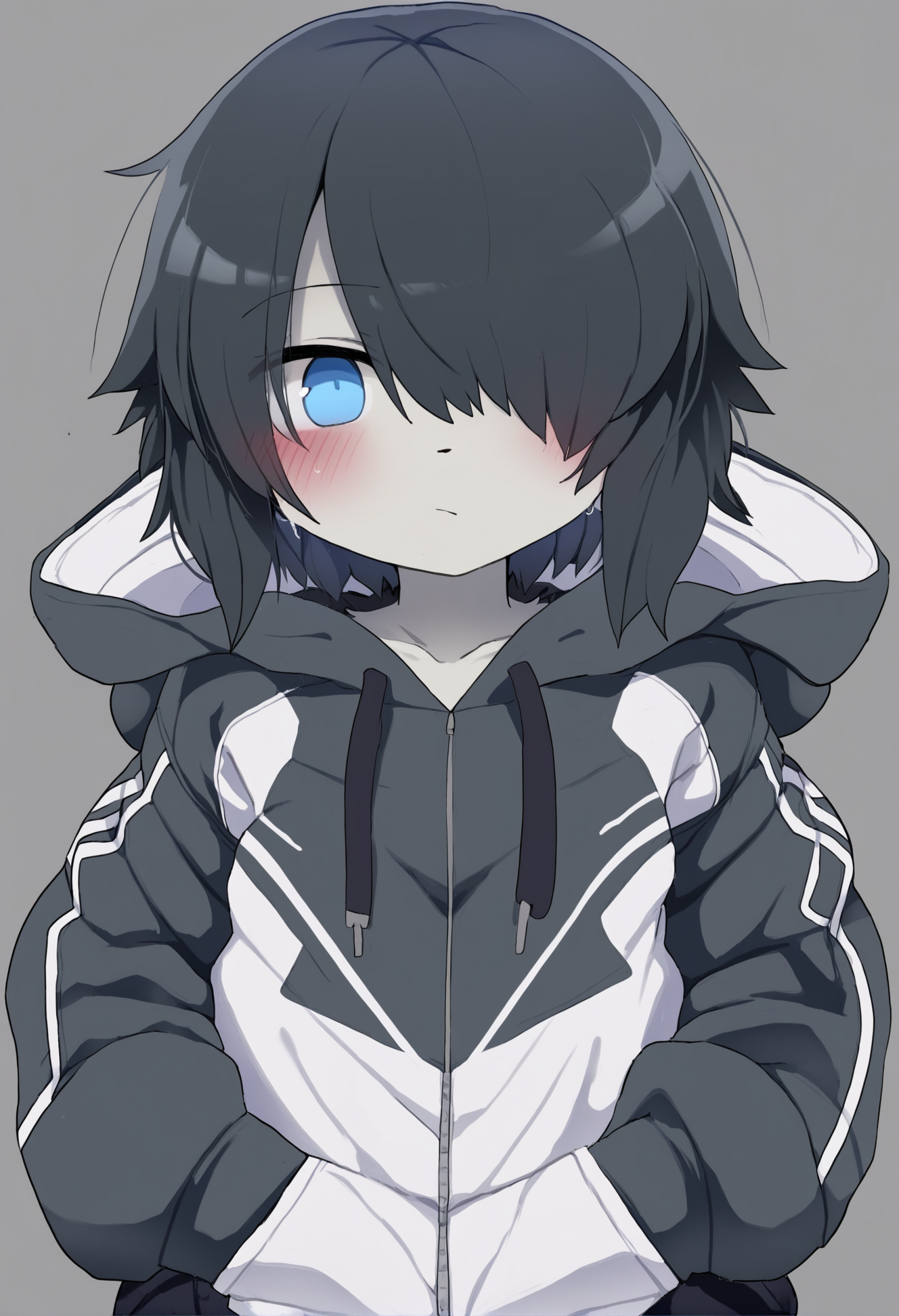 masterpiece, hyper detailed, best quality,(furry:1.3),solo, blue eyes, 1girl, looking at viewer, hood, closed mouth, short hair, grey background, black hair, hair over one eye, jacket  ,<lora:DAGASIXLlokr8f-000188:0.95>