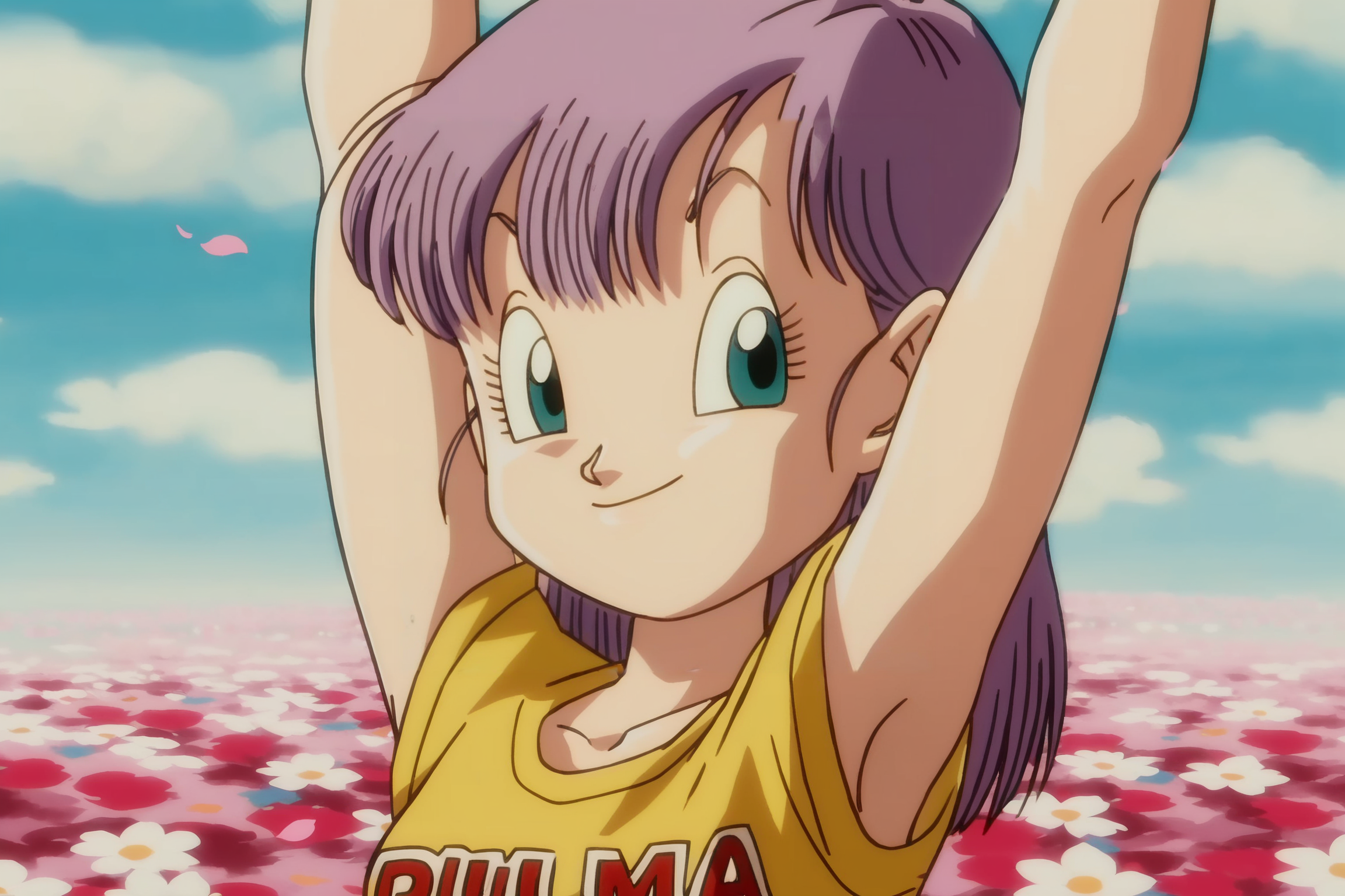 source_anime, score_9, score_8_up, score_7_up, anime screencap, absurdres,
bulma, path to power, 1girl, solo, looking at viewer, blue eyes, yellow shirt, upper body, purple hair, flower, outdoors, sky, cloud, armpits, arms up, petals, clothes writing, field, flower field, character name
<lora:DB_Bulma_v1:0.8>