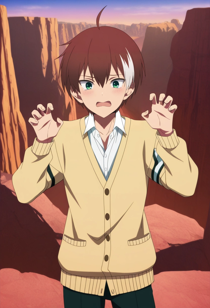masterpiece, best quality, anime screencap, official style, anime coloring, cowboy shot, 1boy, solo, male focus, <lora:akatsuki_iride_ilxl:0.96>, akatsuki_iride, brown hair, green eyes, short hair, ahoge, multicolored hair, two-tone hair, white hair, , rule of thirds, grand canyon, noon, claw pose, tearing up, Chinos, Zip-up cardigan, , , and