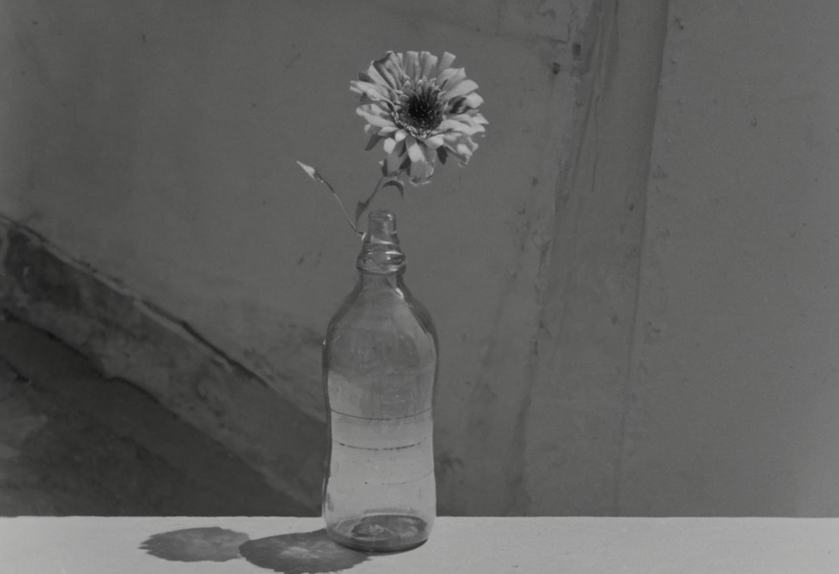 KB_ektachrome_BW, instagram photo,a bottle with a flower, hard shadows, film grain