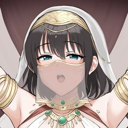 1girl, veil,