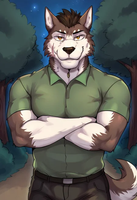 Anthro, source_furry, 1boy, ((nsfw)), male, (solo), forest, night sky, looking at viewer, pecs, dog tail, smile, Grey brown Fur, white snout, scar in face, green shirt, Black pants, Arms crossed, front character, detailed eyes, detailed eyes,