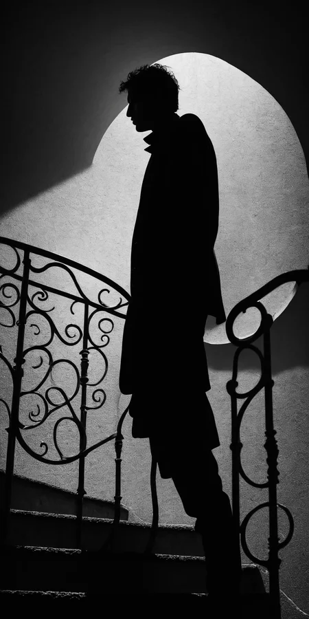 Man standing,silhouette,at the top of stairs,dark,backlit,surrealism style,black and white photograph,high contrast,high definition,<lora:HMSGåªå½±XL-000001:0.8>,