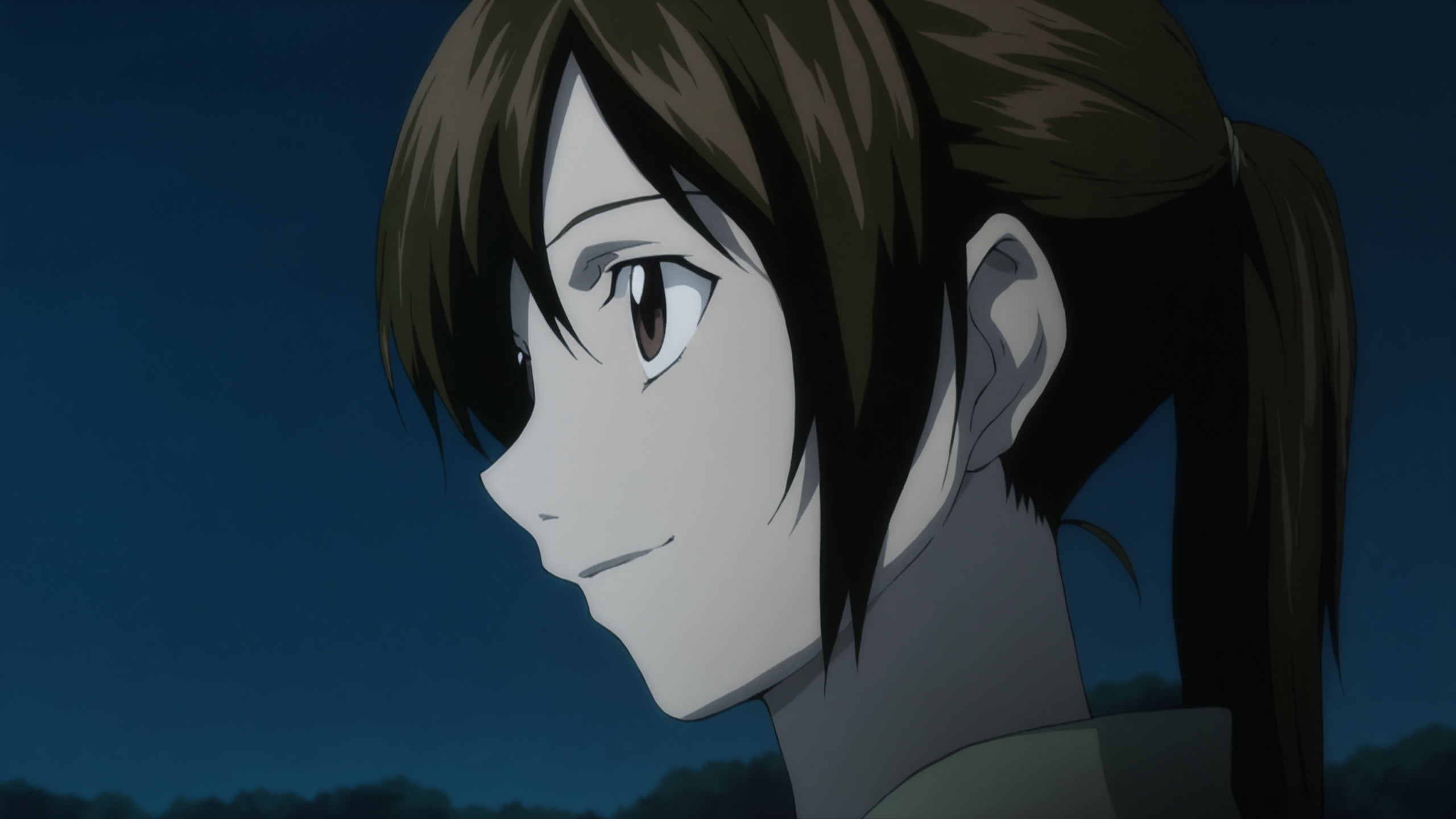 death_note_style, anime screencap, anime coloring, masterpiece, best quality,amazing quality, cinematic lighting, sayu yagami, 1girl, close-up portrait, brown hair, long hair, brown eyes, ponytail, smile,  outdoors, night  <lora:death_note_style:1>