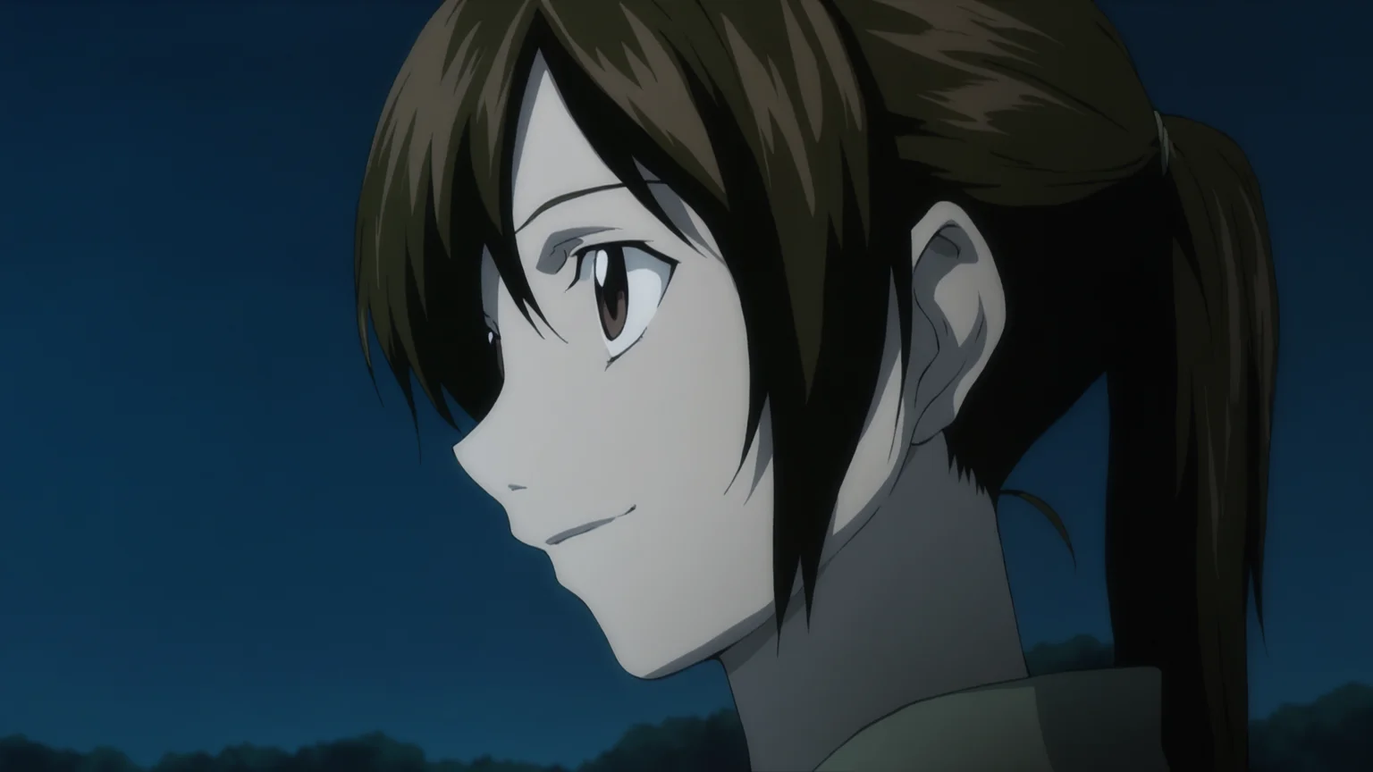 death_note_style, anime screencap, anime coloring, masterpiece, best quality,amazing quality, cinematic lighting, sayu yagami, 1girl, close-up portrait, brown hair, long hair, brown eyes, ponytail, smile, outdoors, night <lora:death_note_style:1>