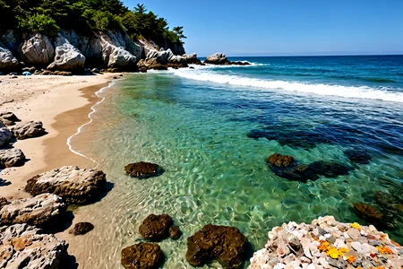 Stable_Yogis_PDXL_Positives,<lora:sdxl_lightning_8step_lora:1>,Depict a secluded beach with rocky outcrops and tide pools filled with colorful marine life, The gentle waves lap at the shore, creating a peaceful and inviting atmosphere,âââ