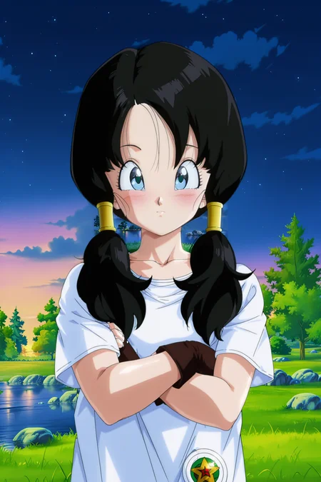 anime screencap, masterpiece, best quality, amazing quality, very aesthetic, absurdres, newest, (scenery, volumetric lighting), official style,
videl, costume 1, official style, 1girl, solo, black hair, twintails, long hair, hair tubes, raised eyebrows, blue eyes, eyelashes, white long shirt, short sleeves, badge, symbol, brown gloves, fingerless gloves, outdoors, night, grass, crossed arms, closed mouth, blush, shiny, river, looking at viewer, upper body, collarbone, night sky, cloud, star \(sky\), tree, rock,
<lora:Videl_IL_v2:0.8>