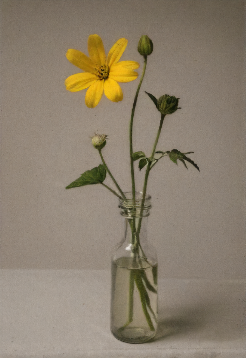 a still life of a flower an' some stuff, detailed, high quality