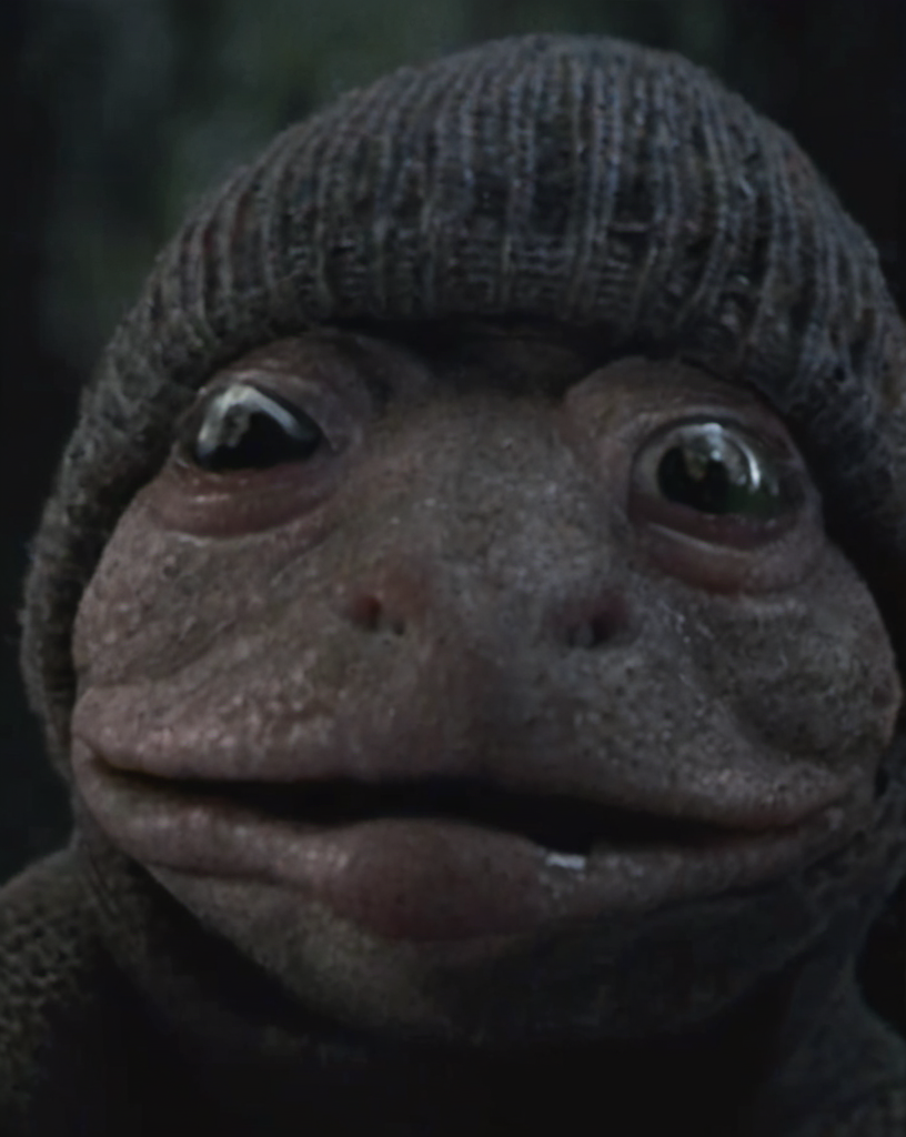 bwp-face, nighttime, close-up, half,  scared and crying (frog:1.1) wearing a grey beanie, dark forest background, cropped, movie, (animal focus:1.1), lowkey, film grain,  <lora:- SDXL - bwp-style_blair_witch_project1999_V1.0:.8>