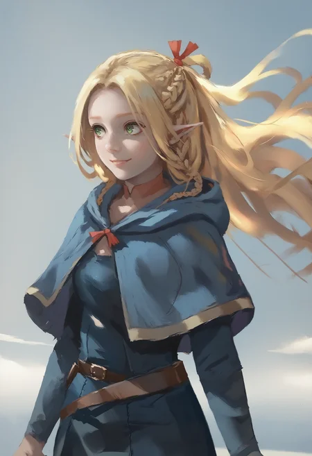 score_9_up score_8_up score_7_up, 1girl marcille, blue capelet blue robe belt, french braid twin braids, floating hair, light smile
<lora:wlop_style_pony_retry_d32:1> <lora:falin_marcille_pony_d16:1>