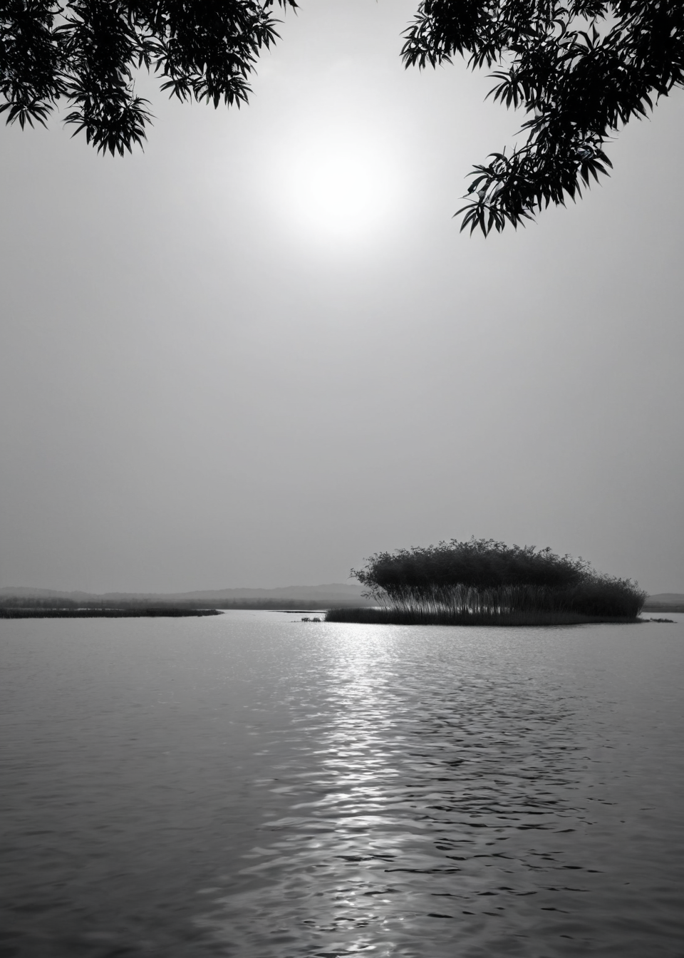 <lora:ç½æ´æ·:1>,Baiyangdian Lake, scenery, no humans, outdoors, sky, landscape, monochrome, sunset, nature, cloud, mountain, tree, horizon, hill, water, silhouette, sand, masterpiece, best quality,