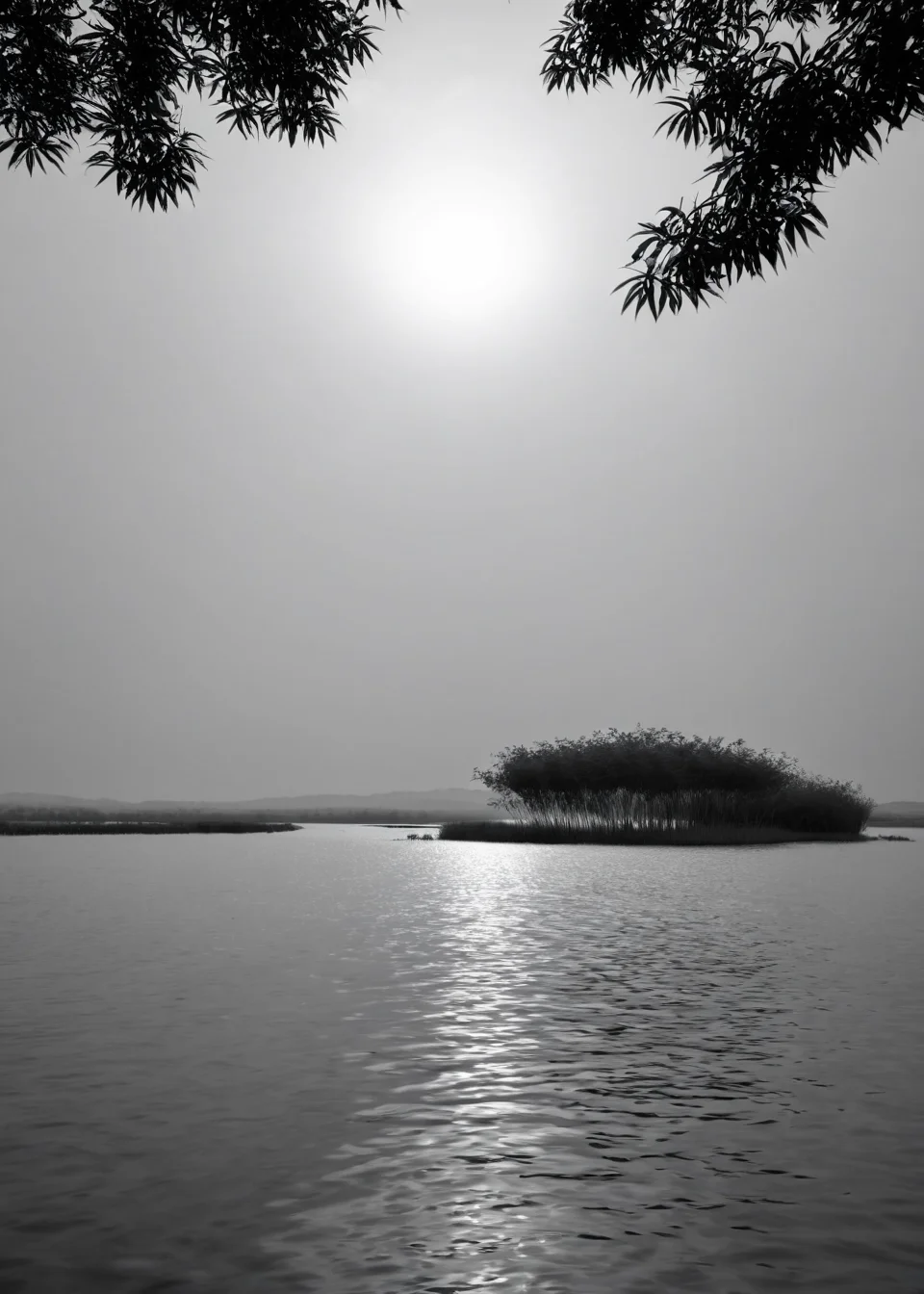 <lora:ç½æ´æ·:1>,Baiyangdian Lake, scenery, no humans, outdoors, sky, landscape, monochrome, sunset, nature, cloud, mountain, tree, horizon, hill, water, silhouette, sand, masterpiece, best quality,