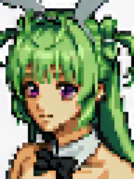 score_9, score_8_up, score_7_up, source_anime BREAK 1girl, solo, <lora:zs_FE5PortraitsXL:1> fe5portraits, portrait, white background, pixel art, <lora:soda-nikke-richy-v2_pdxl:0.8> sdbny, purple eyes, green hair, long hair, bangs, two side up, antenna hair, fake animal ears, hair ornament, detached collar, black bowtie, close up