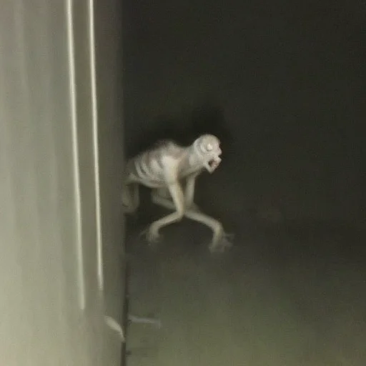 empty shool building at night,cockroach like humanoid creature crawling behind the corner, hyperrealistic <lora:fftage-000001:1>