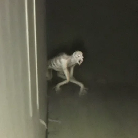 empty shool building at night,cockroach like humanoid creature crawling behind the corner, hyperrealistic <lora:fftage-000001:1>
