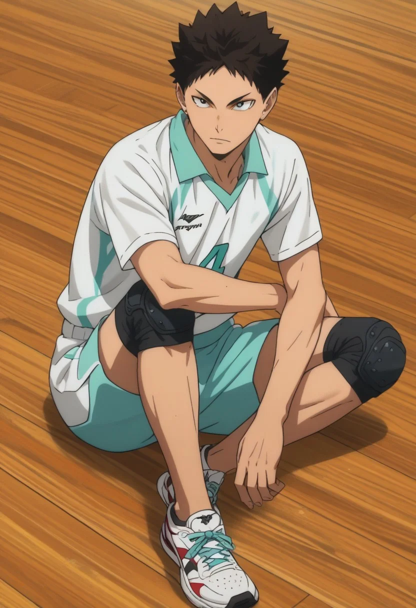 score_9, score_8_up, score_7_up, source_anime, rating_safe, Iwaikyu, 1boy, male focus, anime screencap, light teal Aoba shirt, light teal Aoba shorts, black knee pads, white sneakers, sitting, wooden floor,